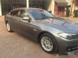 BMW 5 Series  520i 2015 - Bán xe BMW 5 Series 520i năm 2015, màu xám