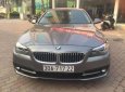 BMW 5 Series  520i 2015 - Bán xe BMW 5 Series 520i năm 2015, màu xám