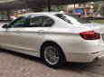 BMW 5 Series   2.0 AT  2014 - Bán BMW 5 Series 2.0 AT năm sản xuất 2014, màu trắng đẹp như mới