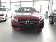 Mercedes-Benz C class C200 2018 - Haxaco Kim Giang bán xe Mercedes-Benz C200, giao xe ngay, chiết khấu cao