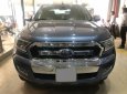 Ford Ranger 2017 - Bán Ford Ranger năm sản xuất 2017, màu xanh lam, nhập khẩu nguyên chiếc