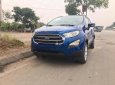 Ford EcoSport 2018 - Cần bán Ford EcoSport đời 2018, màu xanh lam
