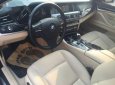 BMW 5 Series  520i 2015 - Bán xe BMW 5 Series 520i năm 2015, màu xám