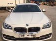 BMW 5 Series  520i 2016 - Bán BMW 5 Series năm 2016, màu trắng, nhập khẩu nguyên chiếc
