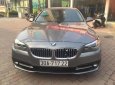 BMW 5 Series 520i 2015 - Cần bán gấp BMW 5 Series 520i đời 2015, màu xám, xe nhập