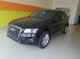 Audi Q5 2015 - Cần bán xe Audi Q5 2015, màu đen, xe nhập