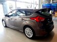 Ford Focus 2017 - Cần bán Ford Focus đời 2017, màu nâu, nhập khẩu, 770 triệu