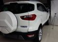 Ford EcoSport 2018 - Bán xe Ford EcoSport 2018, màu trắng, nhập khẩu chính hãng, giá cạnh tranh