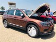 Volkswagen Tiguan Allspace  2018 - Bán xe Volkswagen Tiguan Allspace năm 2018, màu nâu, nhập khẩu