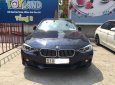 BMW 3 Series 320i 2014 - Bán ô tô BMW 3 Series 320i đời 2014, màu xanh lam, nhập khẩu