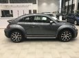 Volkswagen Beetle Dune 2.0 2018 - Cần bán xe Volkswagen Beetle Dune 2.0 sản xuất năm 2018, màu xám (ghi), nhập khẩu