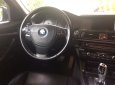BMW 5 Series 523i 2010 - Cần bán gấp BMW 5 Series 523i sản xuất 2010, màu xám, nhập khẩu
