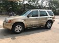 Ford Escape 3.0 V6 2003 - Cần bán xe Ford Escape AT đời 2003, màu vàng, nhập khẩu nguyên chiếc số tự động