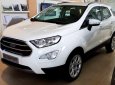 Ford EcoSport Titanium 2018 - Bán xe Ford Ecosport bản cao cấp 2018