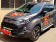 Ford EcoSport 2016 - Bán ô tô Ford EcoSport sản xuất 2016, màu nâu đã đi 24.000km