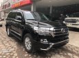 Toyota Land Cruiser VX 4.6 V8 2017 - Cần bán Toyota Land Cruiser VX 4.6 V8 đời 2017, màu đen, nhập khẩu chính chủ