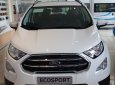 Ford EcoSport Titanium 2018 - Bán xe Ford Ecosport bản cao cấp 2018