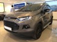 Ford EcoSport Titanium 2017 - Bán xe Ford EcoSport Titanium Black Edition 2017, xe cực keng