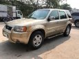 Ford Escape 3.0 V6 2003 - Cần bán xe Ford Escape AT đời 2003, màu vàng, nhập khẩu nguyên chiếc số tự động