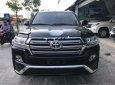 Toyota Land Cruiser VX 4.6 V8 2017 - Cần bán Toyota Land Cruiser VX 4.6 V8 đời 2017, màu đen, nhập khẩu chính chủ