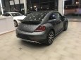 Volkswagen Beetle Dune 2.0 2018 - Cần bán xe Volkswagen Beetle Dune 2.0 sản xuất năm 2018, màu xám (ghi), nhập khẩu