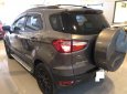 Ford EcoSport Titanium 2017 - Bán xe Ford EcoSport Titanium Black Edition 2017, xe cực keng