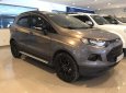 Ford EcoSport Titanium 2017 - Bán xe Ford EcoSport Titanium Black Edition 2017, xe cực keng