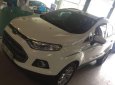 Ford EcoSport   1.5 Titanium  2016 - Bán xe Ford EcoSport 1.5 Titanium 2016, màu trắng, 555 triệu