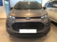 Ford EcoSport Titanium 2017 - Bán xe Ford EcoSport Titanium Black Edition 2017, xe cực keng