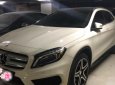 Mercedes-Benz GLA-Class 250 Matic 2016 - Bán Mercedes GLA250 đời 2016, màu bạc, odo 20000km đẹp như mới, xe ít sử dụng bảo hiểm Liberty