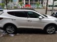 Hyundai Santa Fe 2016 - Bán Hyundai Santa Fe đời 2016, màu trắng