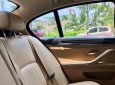 BMW 5 Series 523i 2010 - Bán BMW 5 Series 523i SX 2010, màu đen, nhập khẩu