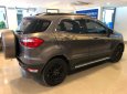 Ford EcoSport Titanium Black 1.5L AT 2017 - Bán Ford EcoSport 1.5L Titanium đời 2017, màu nâu 