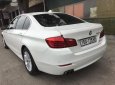 BMW 5 Series 520i 2013 - Chính chủ bán BMW 5 Series 520i SX 2013, màu trắng, nhập khẩu