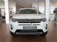 LandRover Discovery Sport HSE Luxury 2018 - Bán xe LandRover Discovery Sport HSE Luxury SX 2018, màu trắng, nhập khẩu 