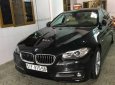 BMW 5 Series 520i 2016 - Bán BMW 5 Series 520i đời 2016, màu đen, nhập khẩu  