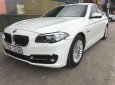 BMW 5 Series 520i 2013 - Chính chủ bán BMW 5 Series 520i SX 2013, màu trắng, nhập khẩu