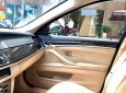 BMW 5 Series 523i 2010 - Bán BMW 5 Series 523i SX 2010, màu đen, nhập khẩu