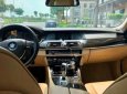 BMW 5 Series 523i 2010 - Bán BMW 5 Series 523i SX 2010, màu đen, nhập khẩu