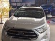 Ford EcoSport Titanium 1.5L AT 2018 - Bán Ford EcoSport 1.5 Titanium SX 2018, màu bạc