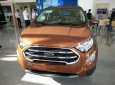 Ford EcoSport 1.0 Ecoboost  2018 - Bán ô tô Ford EcoSport 1.0 Ecoboost đời 2018, màu nâu, xe nhập