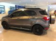 Ford EcoSport Titanium Black 1.5L AT 2017 - Bán Ford EcoSport 1.5L Titanium đời 2017, màu nâu 