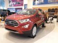 Ford EcoSport Titanium 1.5L AT 2018 - Bán Ford EcoSport Titanium 1.5L AT năm 2018, màu đỏ cam