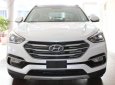 Hyundai Santa Fe 2018 - Bán Hyundai Santa Fe sản xuất năm 2018, màu trắng