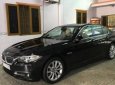 BMW 5 Series 520i 2016 - Bán BMW 5 Series 520i đời 2016, màu đen, nhập khẩu  