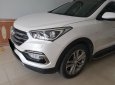 Hyundai Santa Fe 2017 - Cần bán xe Hyundai Santafe CRDi 2017 màu trắng máy dầu zin toàn bộ