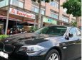 BMW 5 Series 523i 2010 - Bán BMW 5 Series 523i SX 2010, màu đen, nhập khẩu