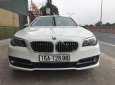 BMW 5 Series 520i 2013 - Chính chủ bán BMW 5 Series 520i SX 2013, màu trắng, nhập khẩu