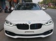 BMW 3 Series 320i 2016 - Bán BMW 3 Series 320i đời 2016, màu trắng, nhập khẩu