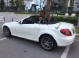 Mercedes-Benz SLK class SLK 350 2010 - Bán Mercedes SLK 350 năm 2010, màu trắng, nhập khẩu  